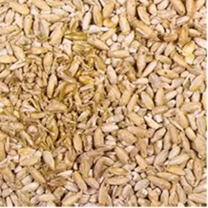 Зерно пшеницы мягкой 3 класс (зерновая)