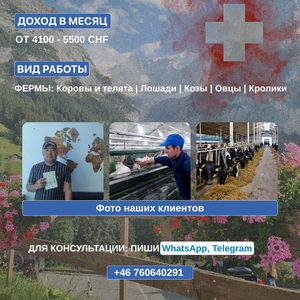 Pабота на ферме в Швейцарии