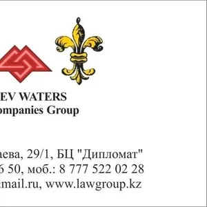 Юридическая компания «Law Companies Group LUNEV WATERS»
