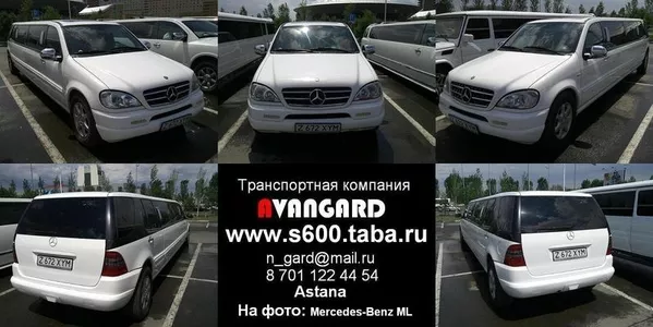 Прокат VIP автомобиля Mercedes-Benz S600  W220 Long ,  белого и черного 15