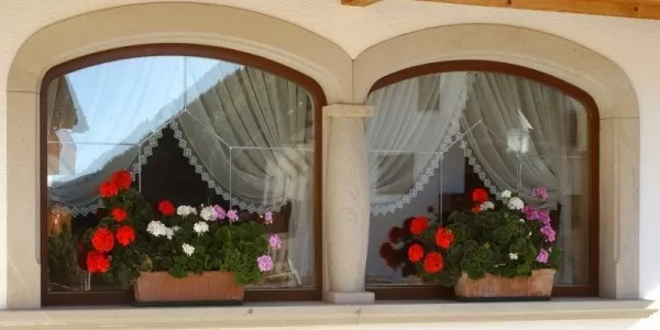 Окна из лиственницы Комирус Кокшетау