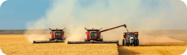 Подсолнечное и соевое масло оптом - ТМ Золотая Семечка 2