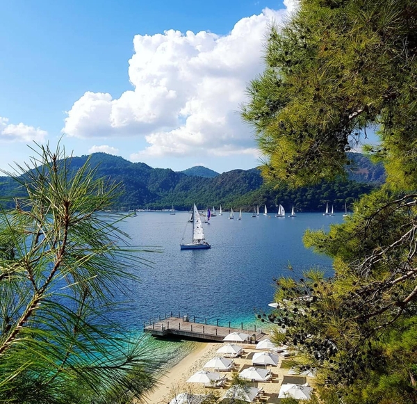 ADL Invest: недвижимость в Турции  быстро,  надёжно,  под ключ