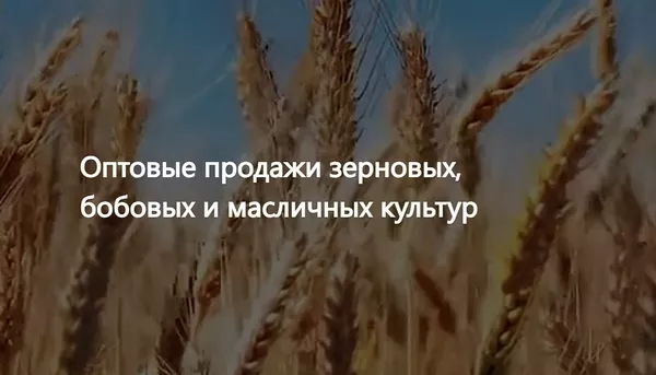 ООО Агропром - оптовая реализация продуктов питания экспорт