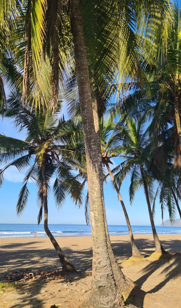 ИЩЕМ ПАРТНЁРОВ В ОНЛАЙН-ПРОЕКТ В СФЕРЕ МЕЖДУНАРОДНОГО ТУРИЗМА! 9