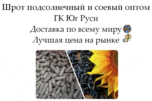 Шрот подсолнечный и соевый оптом от производителя ГК Юг Руси