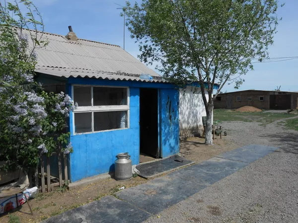 Дом в 40 км от Астаны в селе Волгодоновка 5