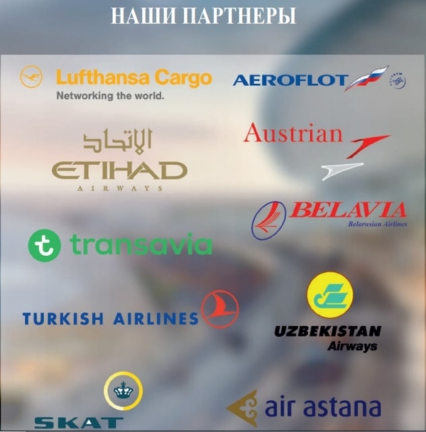 AIR FREIGHT – организация перевозки вашего груза авиатранспортом 3